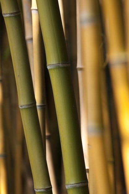 Giroletto singolo bambù Essential 30BC - Giunco Casa arredamento e mobili  in bambù, giunco e rattan